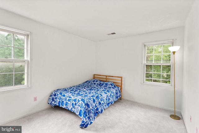 bedroom featuring multiple windows, carpet, and baseboards