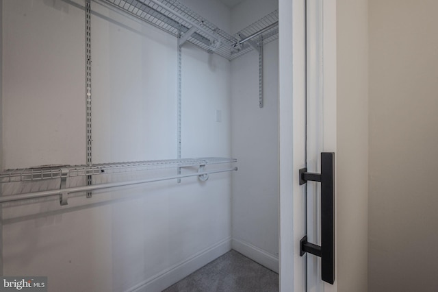 view of spacious closet