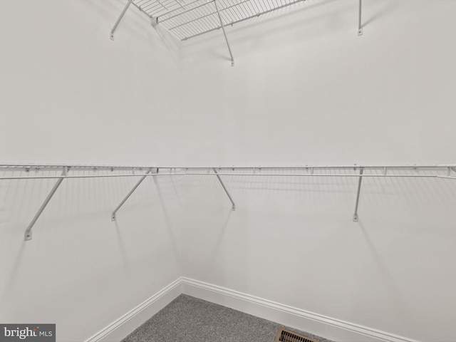 200 School Rd, Bethel, DE 19931 - spacious closet with visible vents