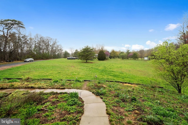 173 Puffball Rd, Hedgesville, WV 25427 - view of yard with a rural view