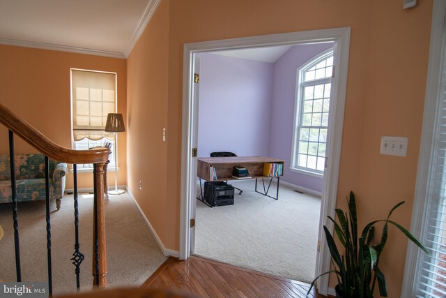 12253 Tulane Falls Dr, Bristow, VA 20136 - hallway with carpet, crown molding, baseboards, and stairway