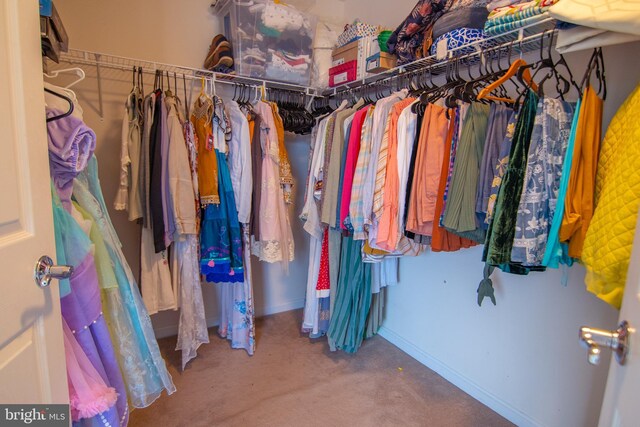 12253 Tulane Falls Dr, Bristow, VA 20136 - spacious closet with carpet