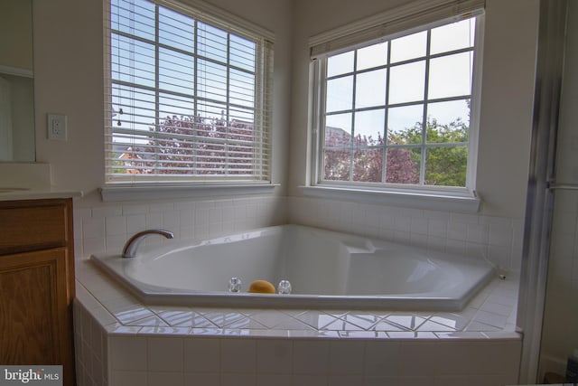 12253 Tulane Falls Dr, Bristow, VA 20136 - full bath featuring a garden tub and vanity