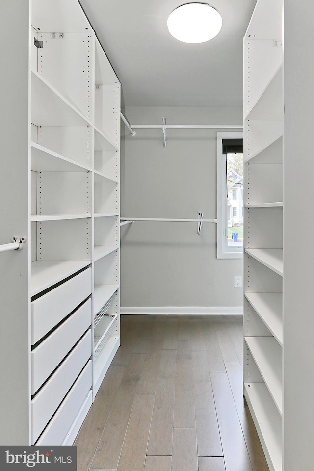 view of walk in closet