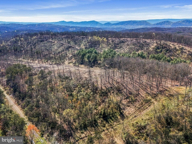 Old Furance Rd, Ridgeley, WV 26753