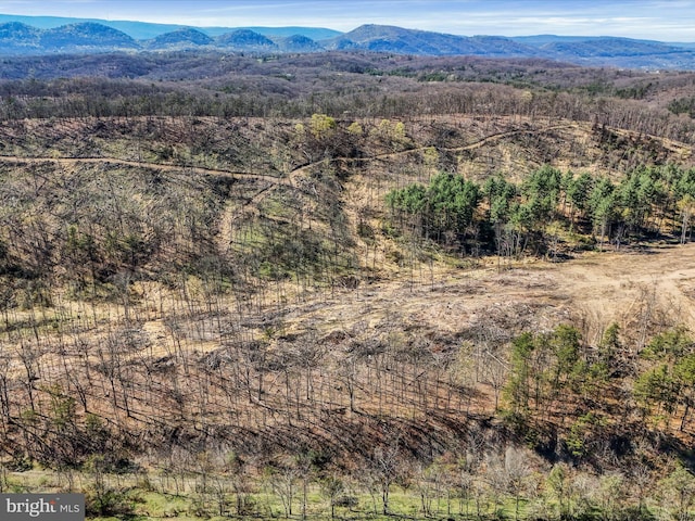 Old Furance Rd, Ridgeley, WV 26753