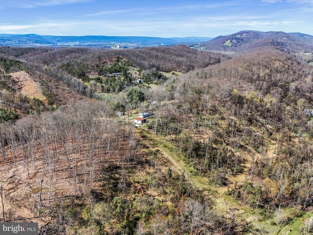 Old Furance Rd, Ridgeley, WV 26753