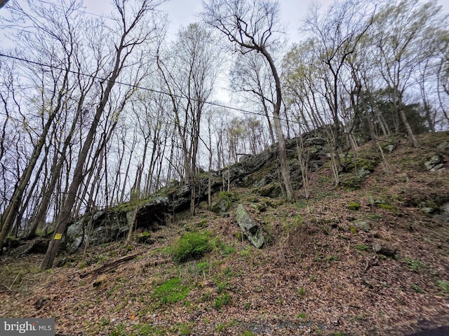 Old Furance Rd, Ridgeley, WV 26753