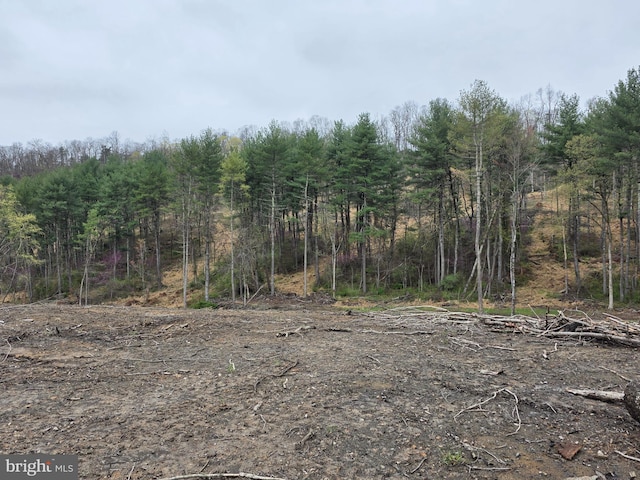 Old Furance Rd, Ridgeley, WV 26753