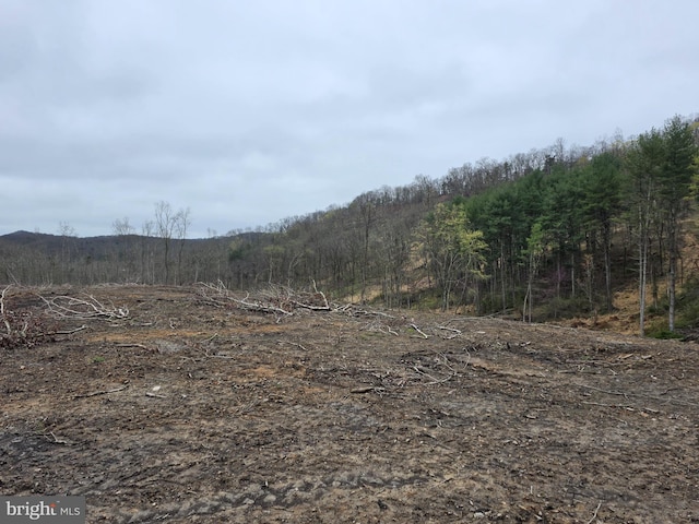 Old Furance Rd, Ridgeley, WV 26753