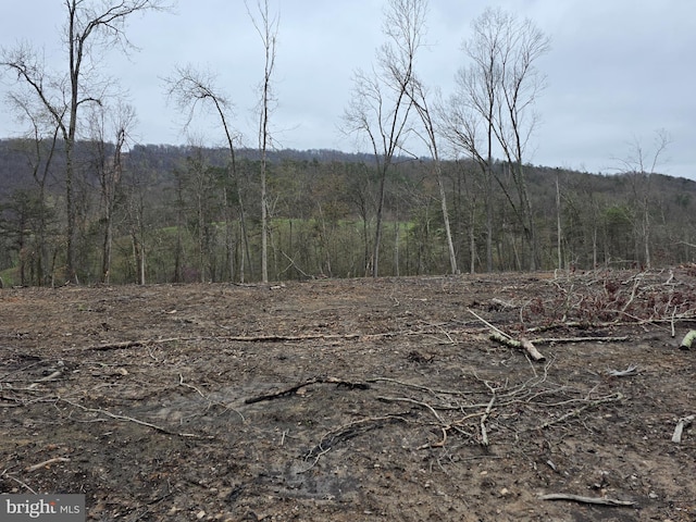 Old Furance Rd, Ridgeley, WV 26753