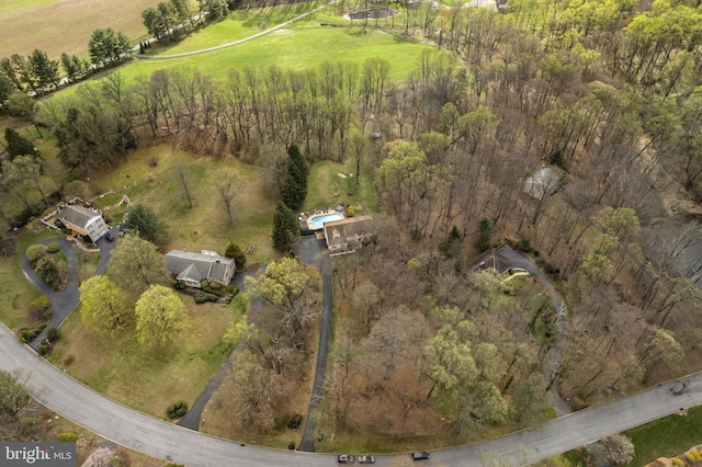 aerial view