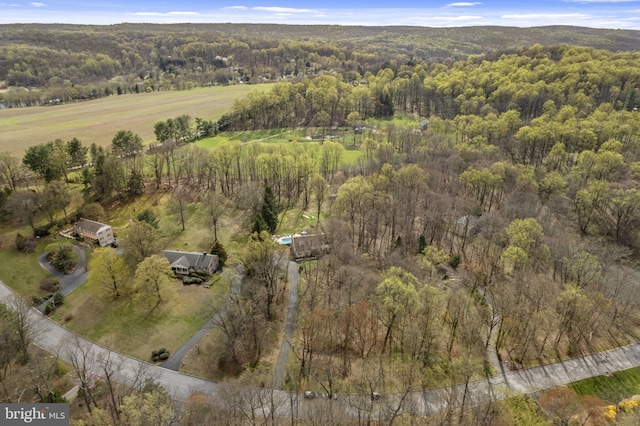 bird's eye view with a forest view