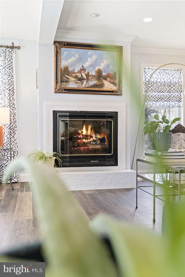 details featuring a glass covered fireplace, recessed lighting, ornamental molding, and wood finished floors