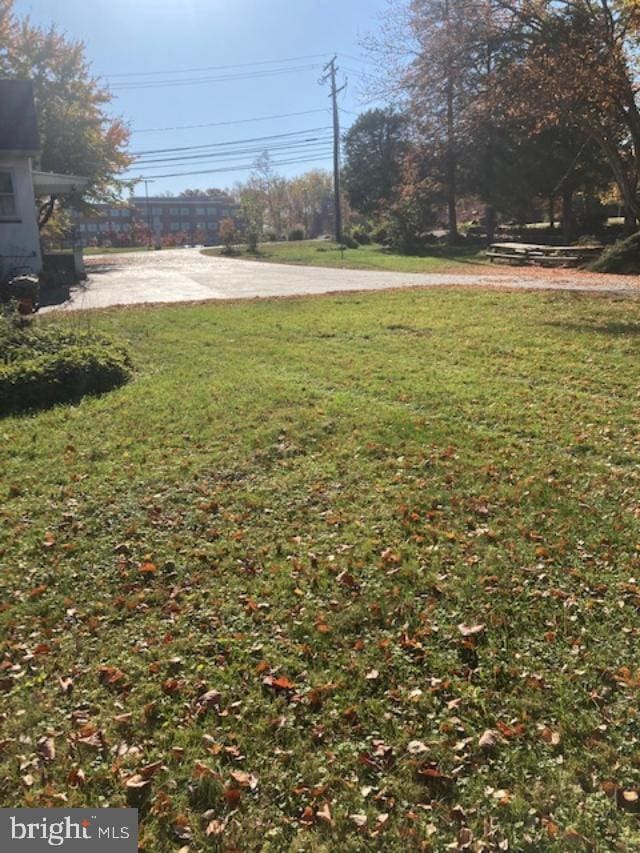 view of yard