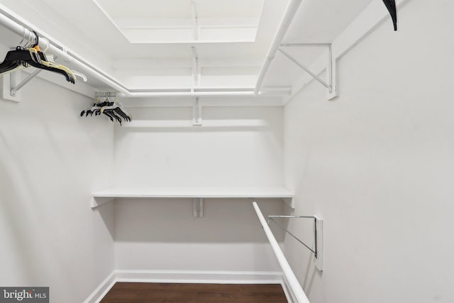 walk in closet with wood finished floors