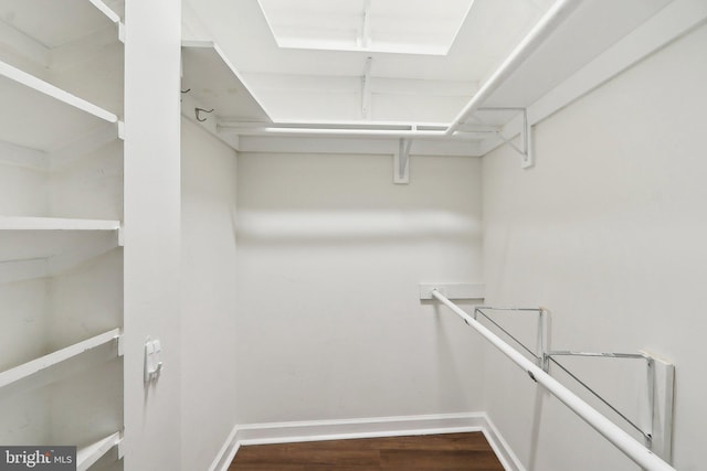 walk in closet featuring dark wood-type flooring