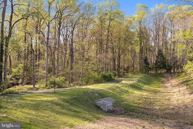 view of yard featuring a view of trees