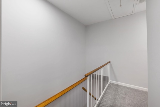 staircase featuring attic access, carpet flooring, baseboards, and visible vents
