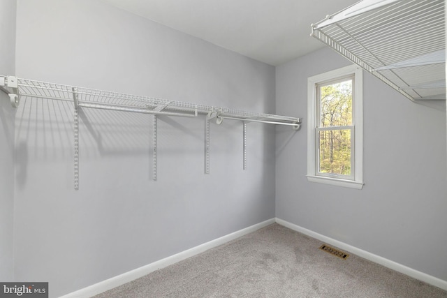 spacious closet with carpet and visible vents