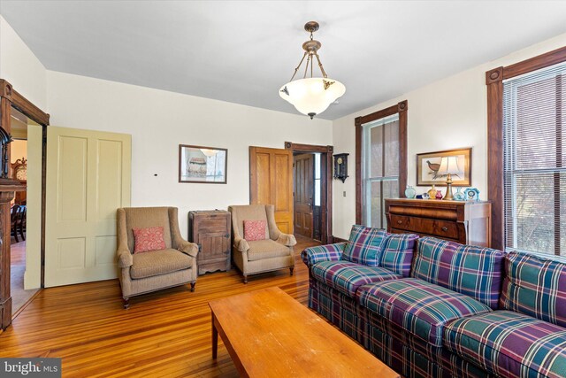 living room with wood finished floors