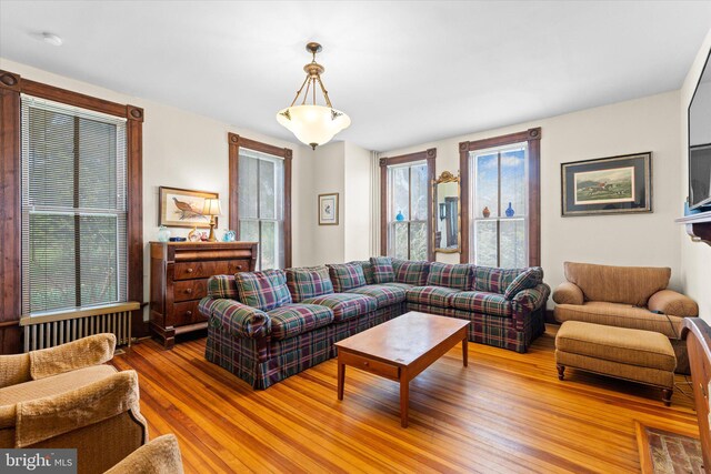 living area featuring wood finished floors