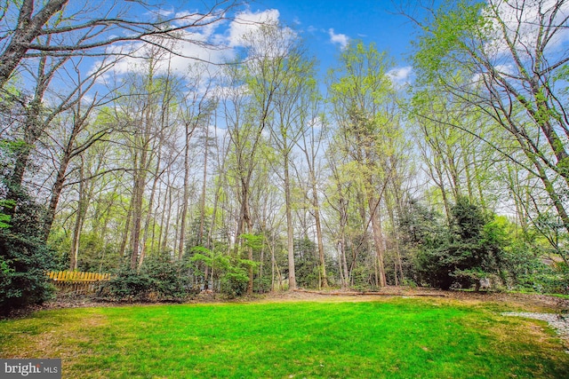 3430 Valewood Dr, Oakton, VA 22124 - view of yard