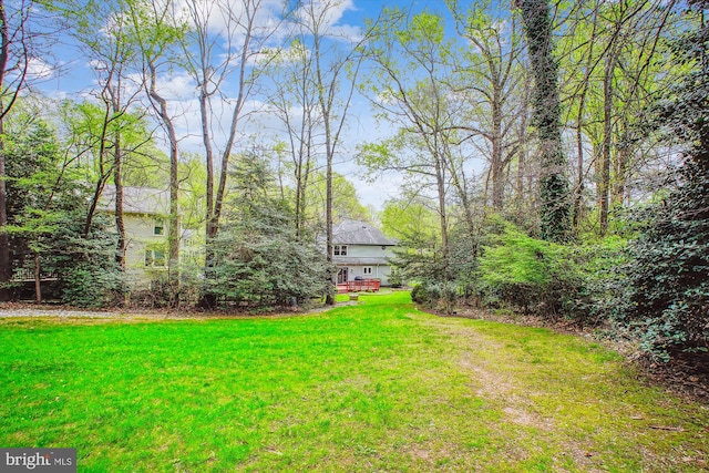 3430 Valewood Dr, Oakton, VA 22124 - view of yard