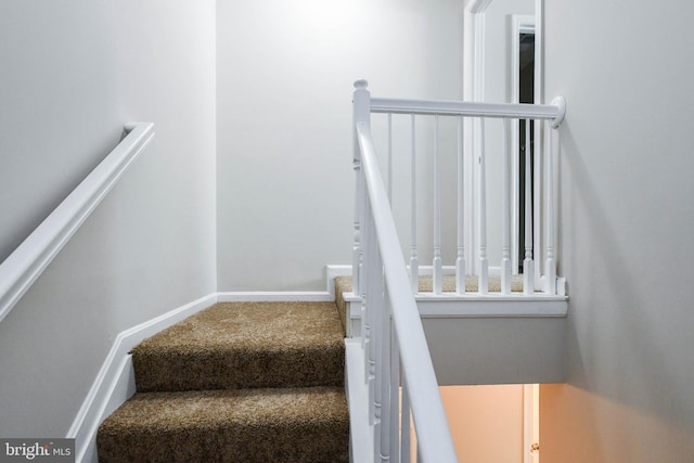 stairs with carpet floors