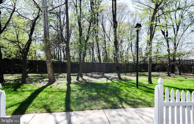 view of yard with a fenced backyard