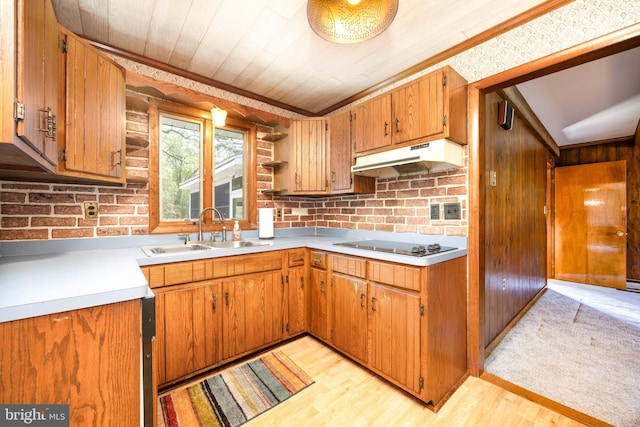 kitchen with a sink, light countertops, under cabinet range hood, and black electric cooktop