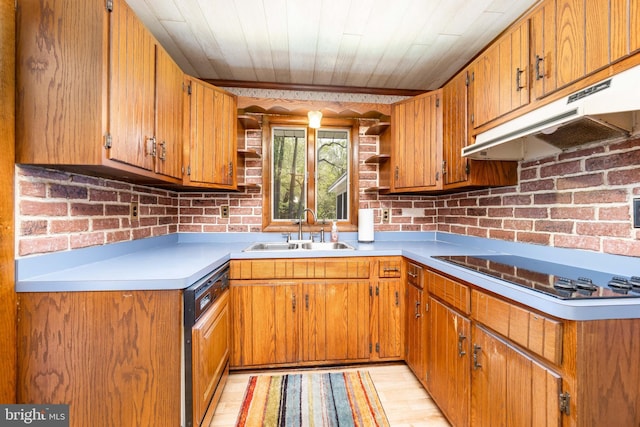 kitchen with brown cabinetry, open shelves, black electric cooktop, a sink, and under cabinet range hood