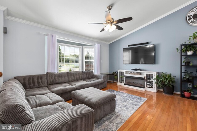 living area with lofted ceiling, a ceiling fan, crown molding, and light wood finished floors