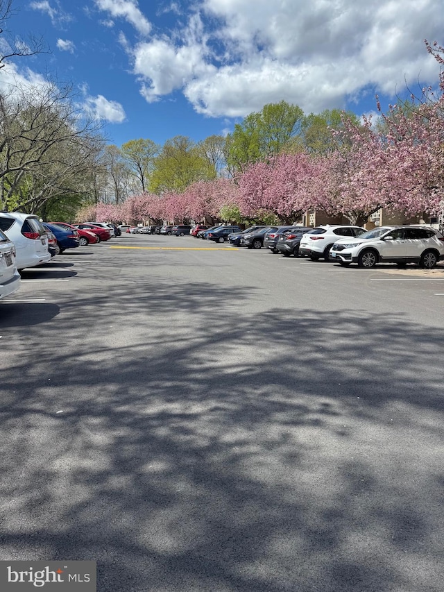 7553 Spring Lake Dr Unit 7553-D, Bethesda, MD 20817 - view of uncovered parking lot