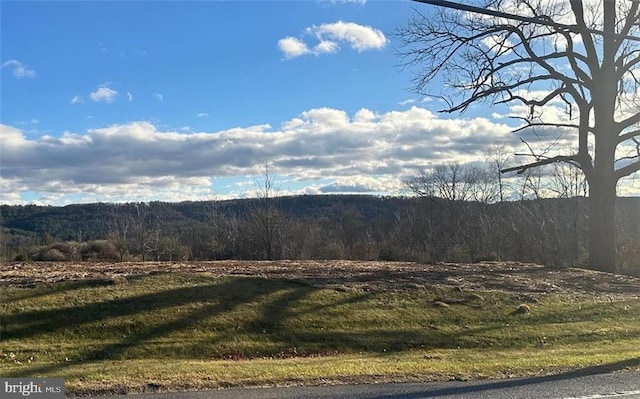 mountain view featuring a forest