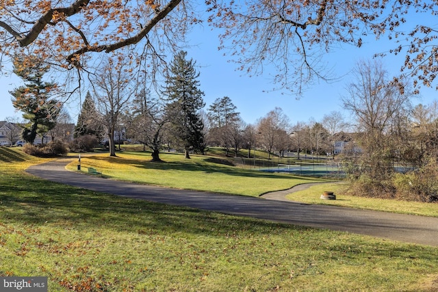 13 Austringer Ct, Baltimore, MD 21208 - view of property's community featuring a lawn