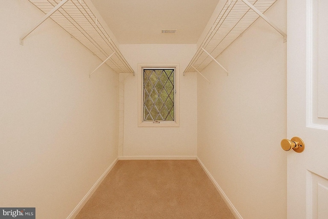 spacious closet featuring visible vents and light colored carpet