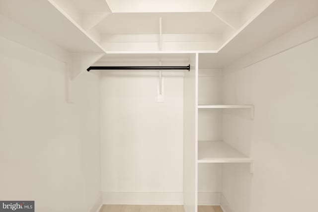view of walk in closet