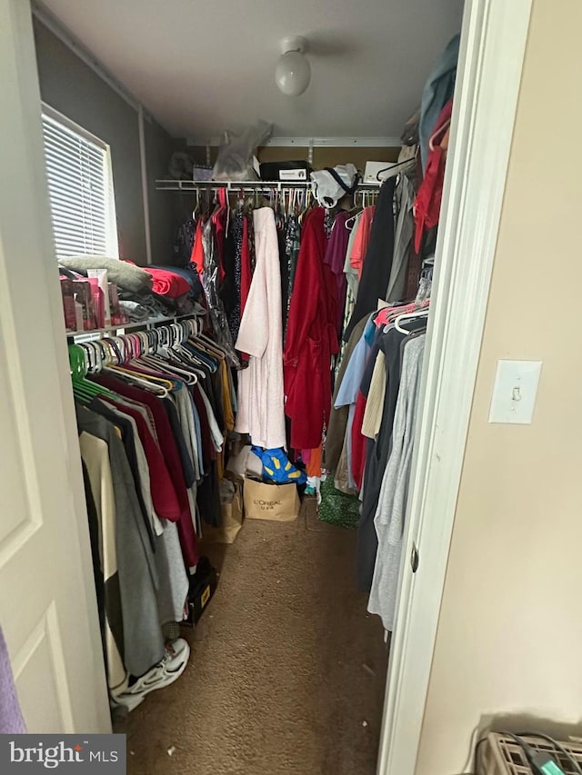 spacious closet with carpet flooring