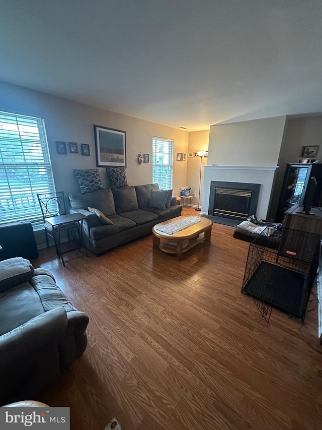 living area with wood finished floors and a fireplace