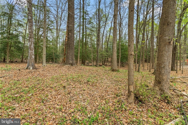 2200 Harpoon Dr, Stafford, VA 22554 - view of nature