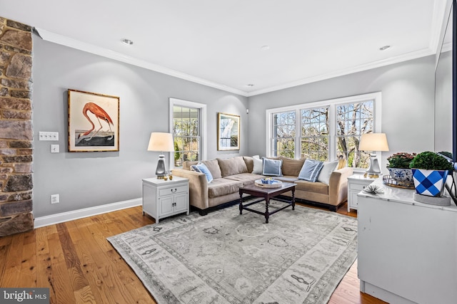 living room featuring light wood-style flooring, baseboards, and crown molding