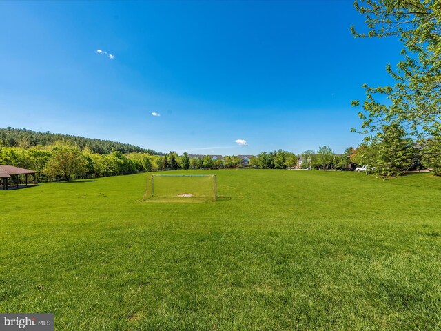 6451 Dresden Pl, Frederick, MD 21701 - view of yard with a sport area