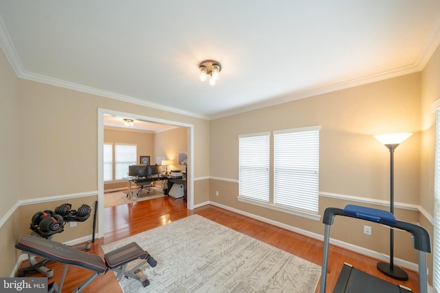 869 Bourban Ln, West Grove, PA 19390 - exercise room with ornamental molding and wood finished floors