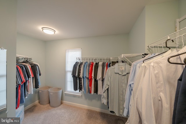 869 Bourban Ln, West Grove, PA 19390 - spacious closet featuring carpet floors