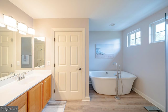 869 Bourban Ln, West Grove, PA 19390 - bathroom featuring a soaking tub, vanity, and wood finished floors