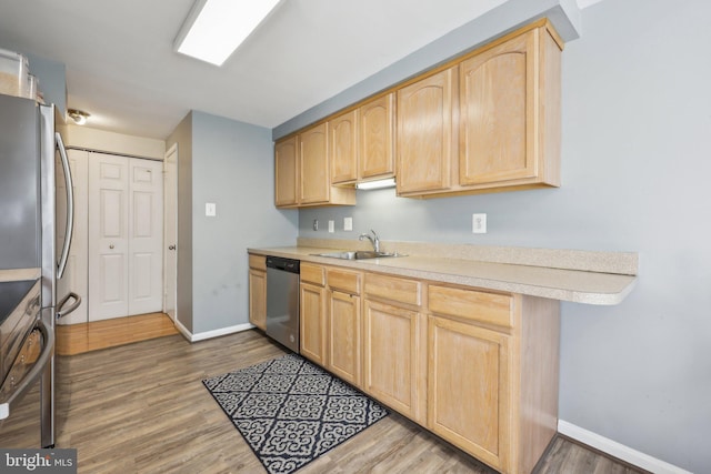 kitchen with wood finished floors, light brown cabinetry, a sink, and appliances with stainless steel finishes