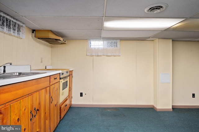 below grade area with a paneled ceiling, a sink, baseboards, visible vents, and carpet floors