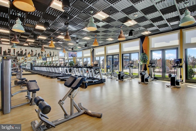 exercise room featuring plenty of natural light