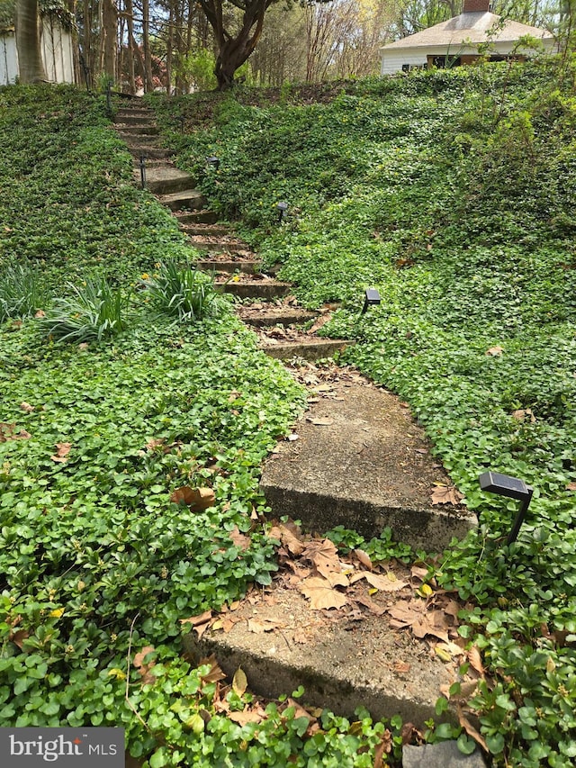 2531 Pickwick Rd, Baltimore, MD 21207 - view of yard